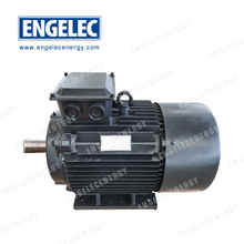 ENP-20KW-3600R-60Hz-380V AC Three Phase Permanent Magnet Generator